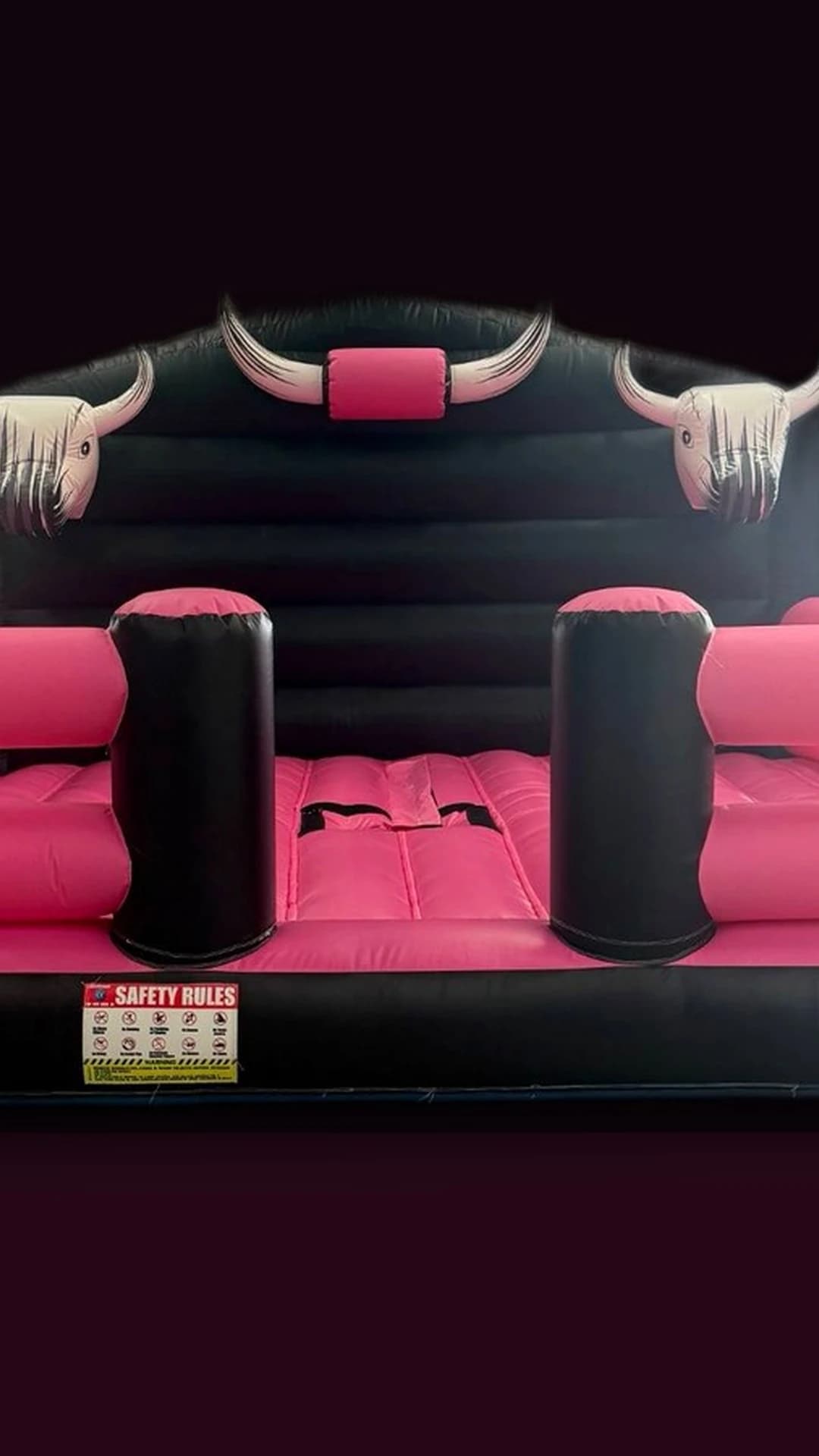 Family day with the Full Throttle Chaos inflatable bull pad